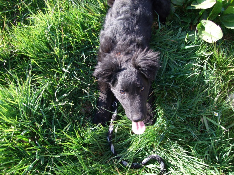 Ostern 2007 Orleshausen 091 